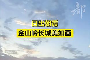 前裁判谈国米补赛争议判罚：米兰丘克手球犯规，迪马尔科补射有效